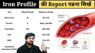 Thumbnail: Iron Profile Test Kya Hota Hai? Ferritin, TIBC, UIBC, Transferrin, Serum Iron | Blood Test Report