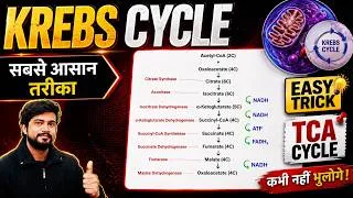 Thumbnail: Krebs Cycle Biochemistry Lecture in Hindi | TCA Cycle | Citric Acid Cycle | Glucose Metabolism