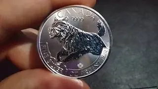 Thumbnail: Canadian Silver Wolf 2018
