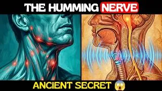 Thumbnail: Hum Like This for 30 Seconds And Reverse 10 Years of Body Damage (+5 Tips)