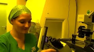 Thumbnail: Inside IVF: The Real Stories Behind Fertility Treatment and Hope