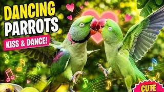 Thumbnail:  Parrots Are DANCING & KISSING! 🦜❤️ Cutest Parrot Moment Ever!