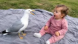 Thumbnail: When a Baby Meets a Very Loud Bird 😂 Funniest Birds You've Ever Seen