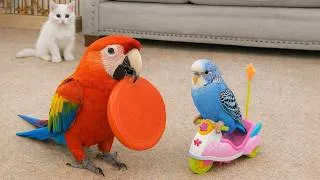 Thumbnail: Smart And Funny Parrots Parrot Talking Videos Compilation (2026) - Cute Birds #26