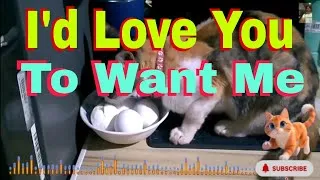 Thumbnail: I'd Love You To Want Me [LOBO] #reggae #remix #fyp #cttoofaudio.. 