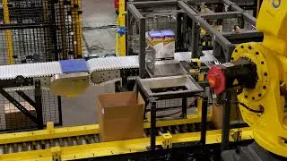 Thumbnail: Robotic case packing & palletizing system | PASCO®