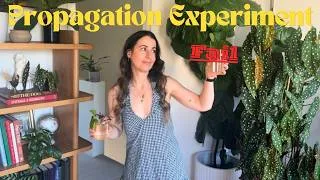 Thumbnail: Plant FAIL | My Houseplant Water Propagation Experiment Did NOT Go To Plan...