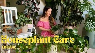 Thumbnail: Learn to Grow Ten Beautiful Houseplants Beginners Guide Ebook! Begonia Pilea & Pink Princess Care