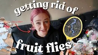 Thumbnail: fix my fruit fly infestation with me