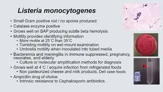 Thumbnail: Bacteriology II - Dr. Morgan (Cedars Sinai) #MICROBIOLOGY