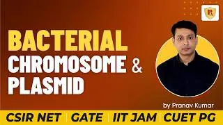 Thumbnail: Bacterial Chromosome and Plasmid |  Pranav Kumar