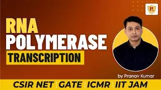 Thumbnail: RNA Polymerase | Transcription | CSIR NET Life Sciences | GATE | IIT-JAM