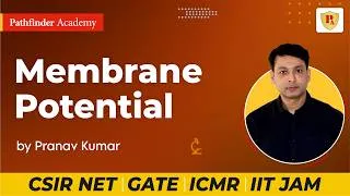 Thumbnail: Membrane potential