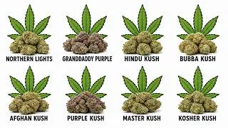 Thumbnail: The Strongest Indica Strains That Hit WAY Harder Than You Expect