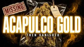 Thumbnail: Acapulco Gold: The Legendary Weed Strain That Mysteriously Disappeared