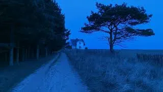Thumbnail: music for a peaceful place far away from everything