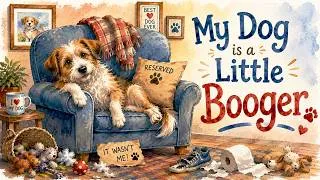 Thumbnail: My Dog is a Little Booger