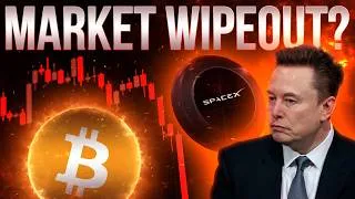 Thumbnail: Market Wipeout?📉Space-X Stock Collapses🔥Crypto Update