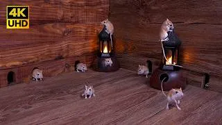 Thumbnail: Cat TV Mice for Cats | Authentic Nighttime Mouse Maze & Hide-and-Seek Fun | 4K