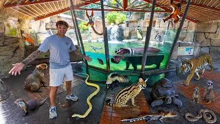Thumbnail: Exploring ZOO FULL of CRAZY ANIMALS in Texas!!