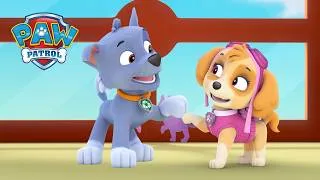 Thumbnail: Pet Show Prize Goes MISSING! Skye to the Rescue! | PAW Patrol | Compilation