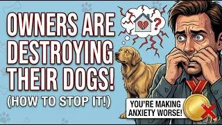 Thumbnail: The Right Way to Leave for Work With a Dog Most Owners Make the Anxiety Worse