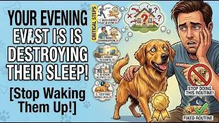 Thumbnail: How Your Evening Routine Is Keeping Your Dog Wired And How to Fix It