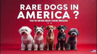 Thumbnail: Top 10 RAREST Dog Breeds in America You’ve NEVER Heard Of! 🐾US