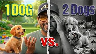 Thumbnail: Thinking of a 2nd Dog? Ask Yourself This First