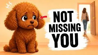 Thumbnail: Your Dog Doesn’t Miss You — It Feels This Instead