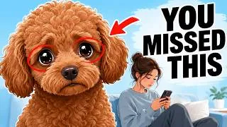 Thumbnail: Your Dog Needs This Most — But You Keep Missing It