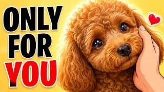 Thumbnail: 5 Things Dogs Do Only for Their Favorite Human