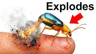 Thumbnail: I Got Every Pet with Real-Life Superpowers!