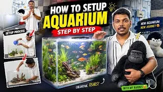Thumbnail: New aquarium setup in just 600 