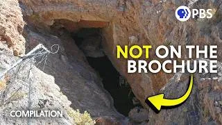 Thumbnail: 48 Minutes of the Weirdest Nature in America