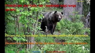 Thumbnail: Kučera Uličný Bears of Liptov in Slovakia Slovak English Russian LYRICS SUBTITLES