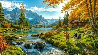 Thumbnail: Beautiful Relaxing Music to Stop Overthinking 🌿 Nature Sounds to Reduce Anxiety & Deep Sleep