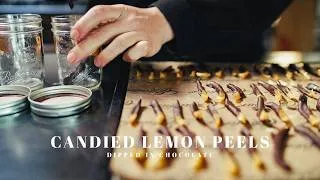 Thumbnail: Candied Lemon Peels Dipped in Chocolate