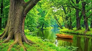 Thumbnail: Healing Nature Sounds 🌿 Relaxing Forest Ambience for Deep Sleep & Meditation