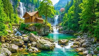 Thumbnail: Healing Nature Sounds 🌿 Relaxing River & Forest Ambience for Deep Sleep