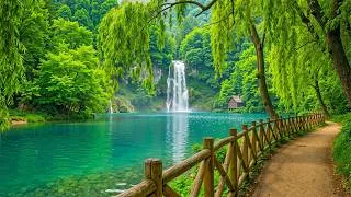 Thumbnail: Beautiful Nature Relaxation 🌿 River Sounds, Birds & Calm Forest Music