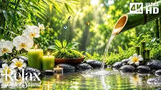 Thumbnail: Healing Piano Music Calm Your Mind 🌿 Bamboo Water Fountain, Deep Sleep and Stress Relief Music