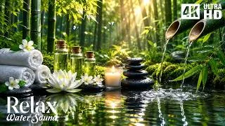 Thumbnail: Calming Music for Sleep, Relax🌿 Soothing Water Sounds, Piano Relaxing Music, Stress Relief Music