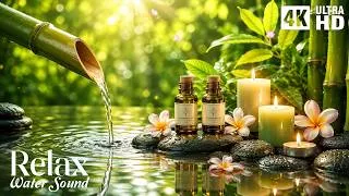 Thumbnail: Relaxing Music to Relieve Stress, Anxiety and Depression 🌿 Heals The Mind, Body and Soul #30