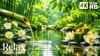 Thumbnail: Bamboo Water Sound + Healing Piano Music 🌿 Calming Music for Sleep, Relax, Meditation, Stress Relief