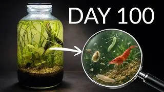 Thumbnail: I Built a Jar Ecosystem… 100 Days Later This Happened