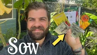 Thumbnail: Sow these flower SEEDS IN SEPTEMBER 🌱🌱🌱