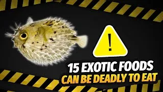 Thumbnail: 15 Exotic Foods Around the World That Can Be Deadly to Eat