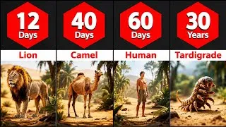Thumbnail: How long animal can live without Food