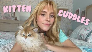 Thumbnail: Cuddling With My Kittens One Last Time 